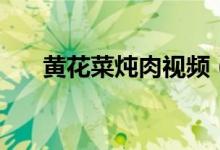 黄花菜炖肉视频（黄花菜炖肉怎么做）