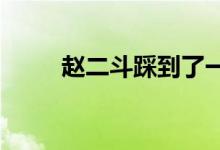 赵二斗踩到了一些法国制造的地雷