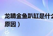 龙睛金鱼趴缸是什么原因（金龙鱼趴缸底什么原因）