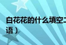 白花花的什么填空二年级（白花花的什么填词语）