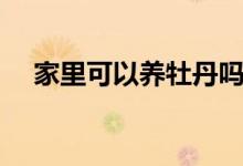 家里可以养牡丹吗（家里可以养榕树吗）