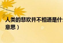 人类的悲欢并不相通是什么梗（人类的悲欢并不相通是什么意思）