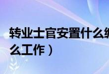 转业士官安置什么编制（转业士官可以分配什么工作）