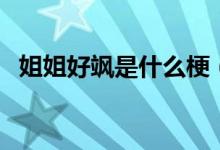 姐姐好飒是什么梗（姐姐好飒是什么意思）