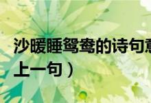沙暖睡鸳鸯的诗句意思是什么（沙暖睡鸳鸯的上一句）