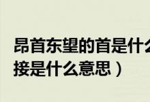 昂首东望的首是什么意思（昂首东望和水天相接是什么意思）