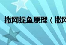 撒网捉鱼原理（撒网捕鱼原理 原来是这样）