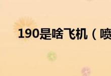 190是啥飞机（喷气机190是什么飞机）