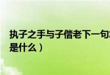 执子之手与子偕老下一句怎么对（执子之手与子偕老下一句是什么）