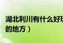 湖北利川有什么好玩的（湖北利川有什么好玩的地方）