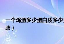 一个鸡蛋多少蛋白质多少克脂肪（一个鸡蛋多少蛋白质和脂肪）