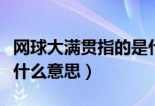 网球大满贯指的是什么意思（网球的大满贯是什么意思）