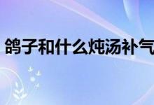 鸽子和什么炖汤补气血（鸽子和什么炖汤好）