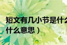 短文有几小节是什么意思（短文有几个小节是什么意思）