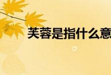 芙蓉是指什么意思（芙蓉是荷花吗）