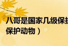 八哥是国家几级保护动物吗（八哥是国家几级保护动物）