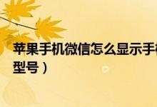 苹果手机微信怎么显示手机号（苹果手机微信怎么显示手机型号）