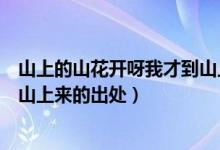 山上的山花开呀我才到山上来歌词（山上的山花开呀我才到山上来的出处）