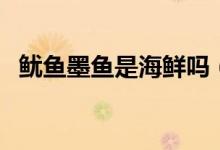 鱿鱼墨鱼是海鲜吗（鱿鱼墨鱼属于海鲜吗）