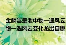 金麟岂是池中物一遇风云变化龙的意思是啥（金麟岂是池中物一遇风云变化龙出自哪）