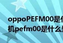 oppoPEFM00是什么型号的手机（oppo手机pefm00是什么型号）