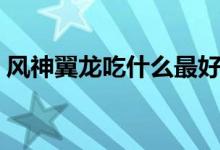 风神翼龙吃什么最好（风神翼龙吃什么饲料）