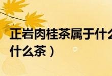 正岩肉桂茶属于什么档次的（正岩肉桂茶属于什么茶）