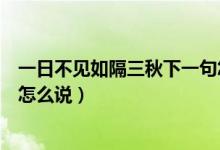 一日不见如隔三秋下一句怎么回（一日不见如隔三秋下一句怎么说）