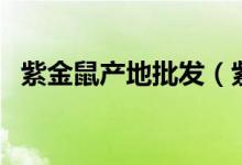 紫金鼠产地批发（紫金鼠产地在什么地方）