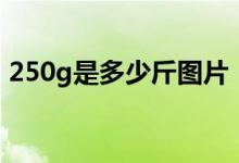 250g是多少斤图片（250g是多少斤多少两）