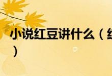 小说红豆讲什么（红豆小说非木非石讲的什么）