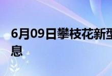 6月09日攀枝花新型冠状病毒肺炎疫情最新消息