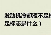 发动机冷却液不足标志图片（发动机冷却液不足标志是什么）