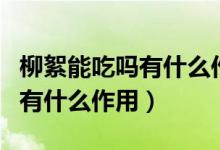 柳絮能吃吗有什么作用功效营养（柳絮能吃吗有什么作用）