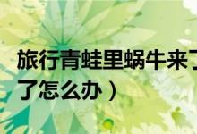 旅行青蛙里蜗牛来了怎么办（旅行青蛙蜗牛来了怎么办）