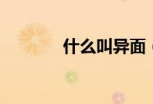 什么叫异面（什么叫异体字）