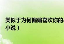 类似于为何偏偏喜欢你的小说（类似为何偏偏喜欢你的言情小说）