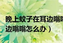 晚上蚊子在耳边嗡嗡响怎么办（晚上蚊子在耳边嗡嗡怎么办）