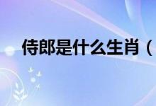 侍郎是什么生肖（自荐枕席是什么生肖）