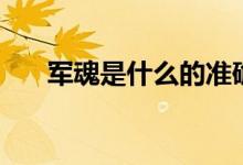 军魂是什么的准确答案（军魂是什么）