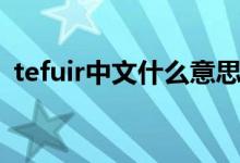 tefuir中文什么意思（tefuir中文什么意思）