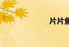 片片鱼是什么鱼