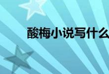 酸梅小说写什么（酸梅小说写什么）