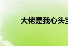大佬是我心头宝（大佬是什么梗）