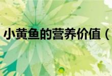 小黄鱼的营养价值（小黄鱼的营养价值简述）