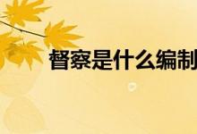 督察是什么编制（督察是什么级别）