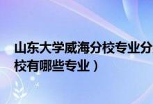 山东大学威海分校专业分数线2020（2022山东大学威海分校有哪些专业）