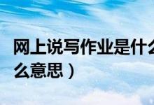 网上说写作业是什么意思（网上说写作业是什么意思）