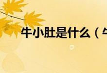 牛小肚是什么（牛小肚是牛哪个部位）