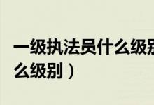 一级执法员什么级别值得考吗（一级执法员什么级别）